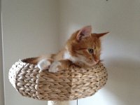 2017-04-19 18-43-27 685c5004